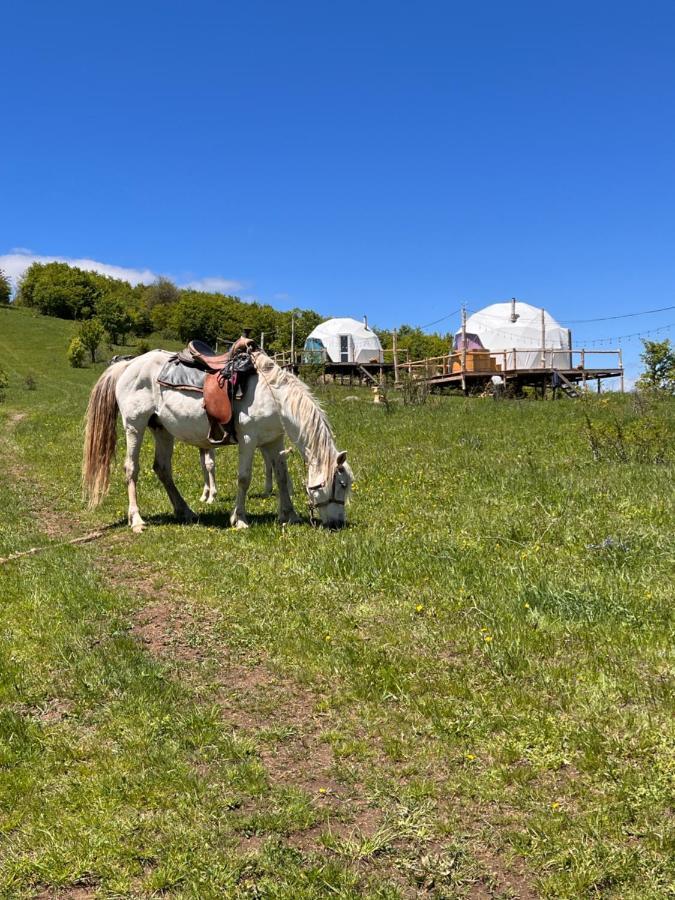 Hotel Glamping Park Shahumyan Exteriér fotografie
